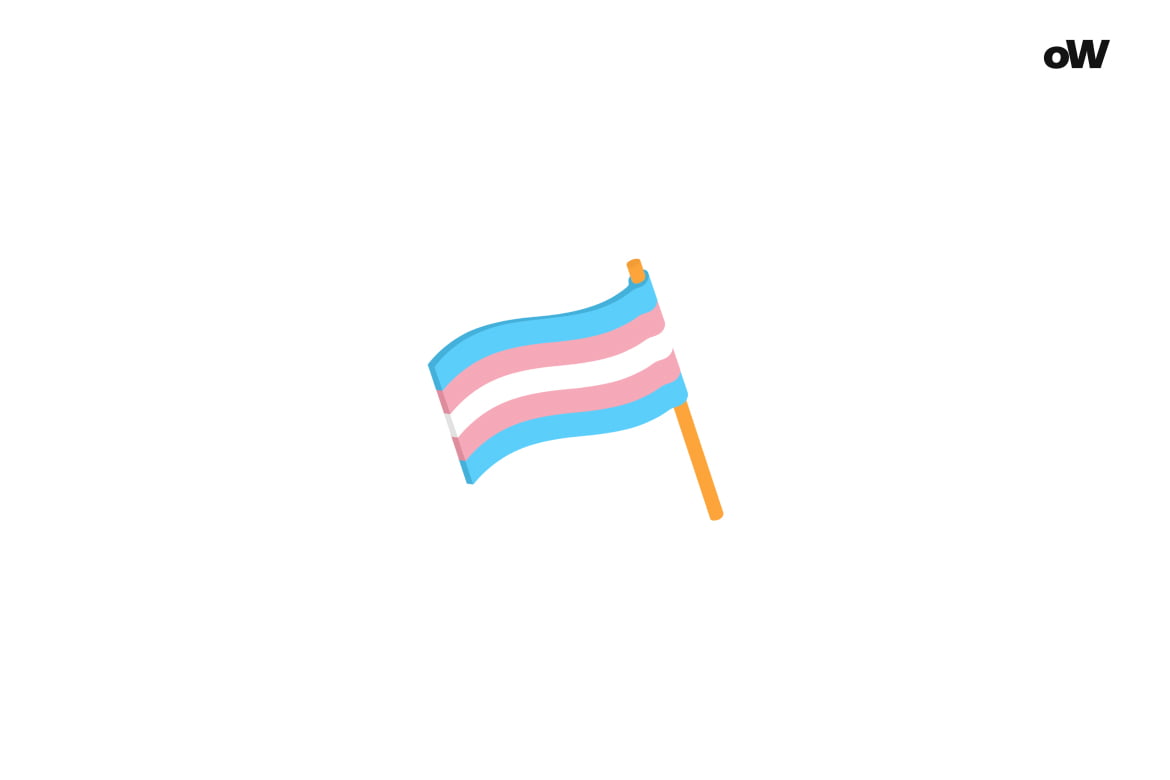 Am I Trans Quiz Flag