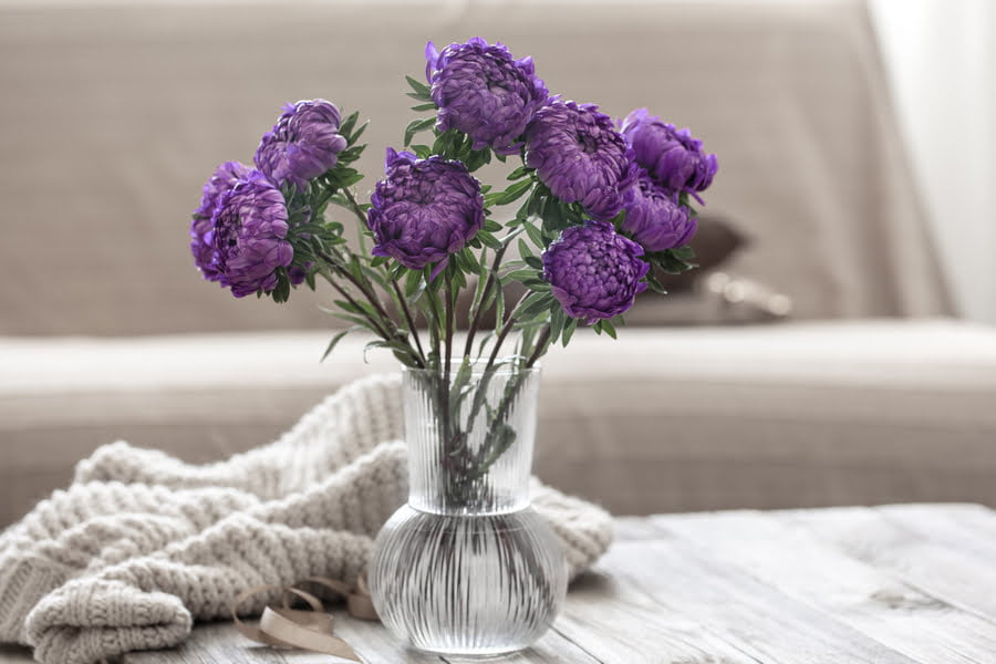 What Flower Am I Quiz. A bouquet of blue chrysanthemums in a glass vase on the table in the interior of the room.