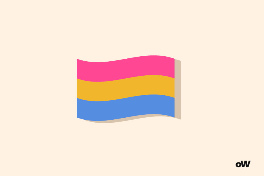 Sexuality Quiz: Pansexual flag