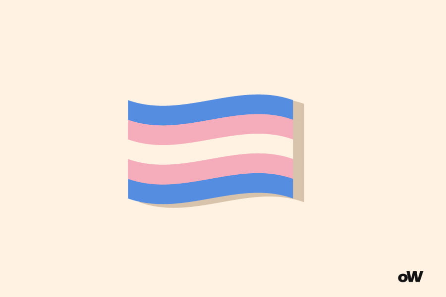 Sexuality Quiz: Transgender flag