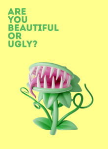 Are You Beautiful or Ugly