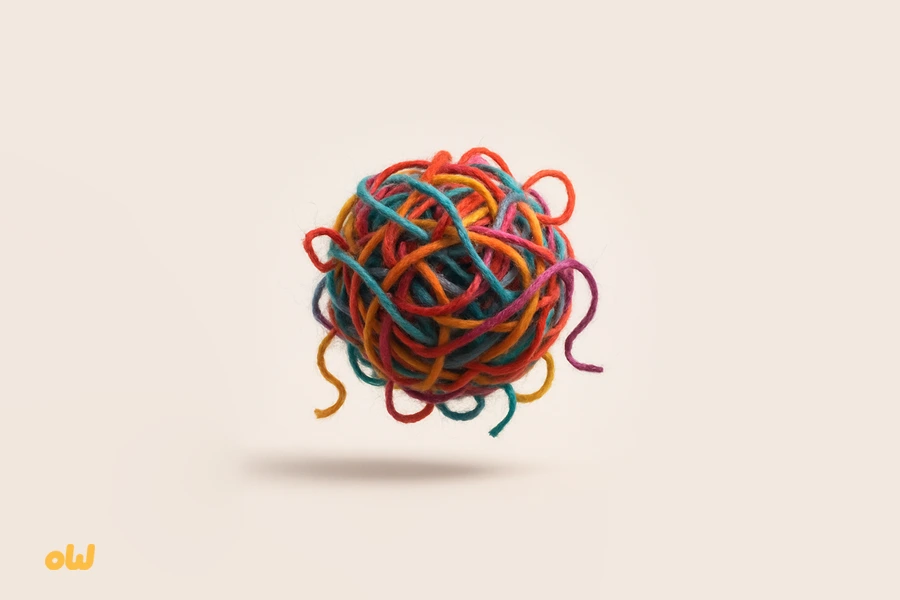 What Cat Breed Are You Quiz